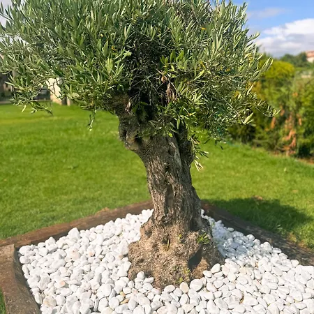 Adina - Rias Baixas